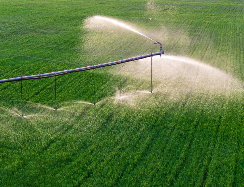 Agriculture
